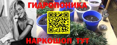 твердый Можга