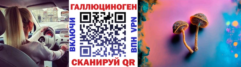 где купить наркотик  Смоленск  blacksprut маркетплейс  Псилоцибиновые грибы Psilocybine cubensis 